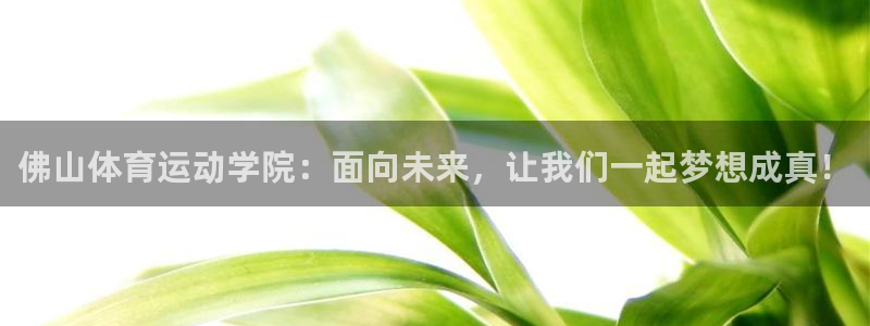 中欧体育登录