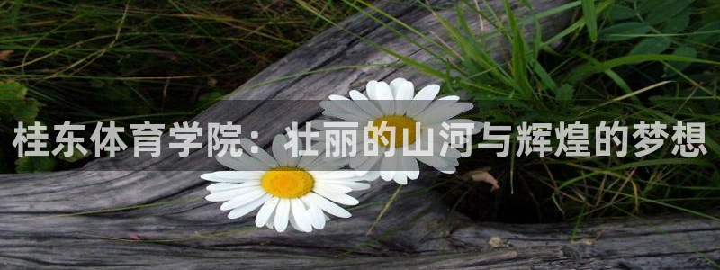 中欧体育平台