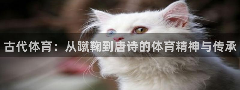 中欧体育zoty下载