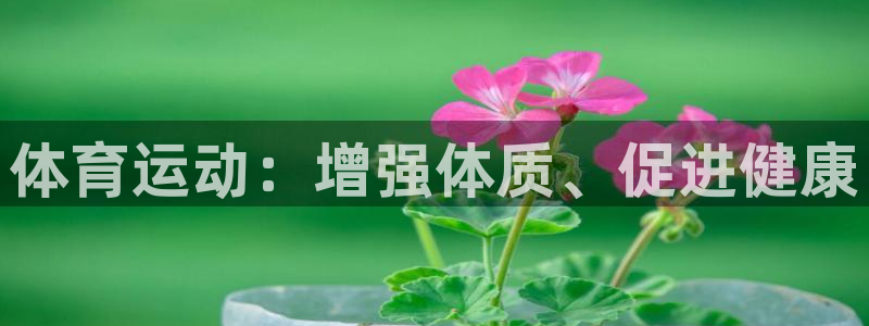 中欧体育最新地址