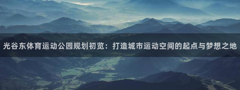 中欧体育平台