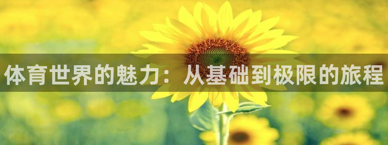 中欧体育ac米兰