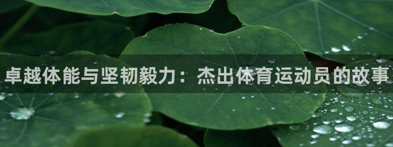kok新版中欧体育
