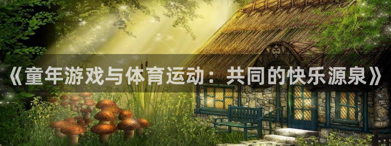 中欧体育官网入口