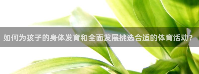 kok中欧体育