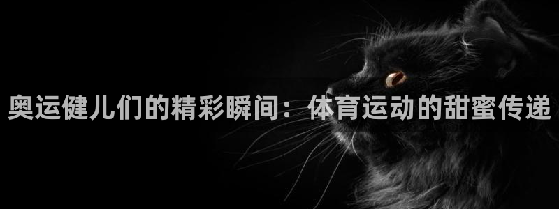 中欧体育网页登录