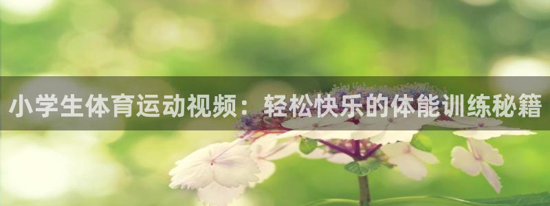 中欧体育ac米兰