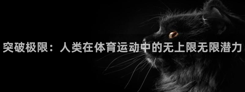 kok新版中欧体育
