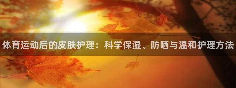 kok新版中欧体育