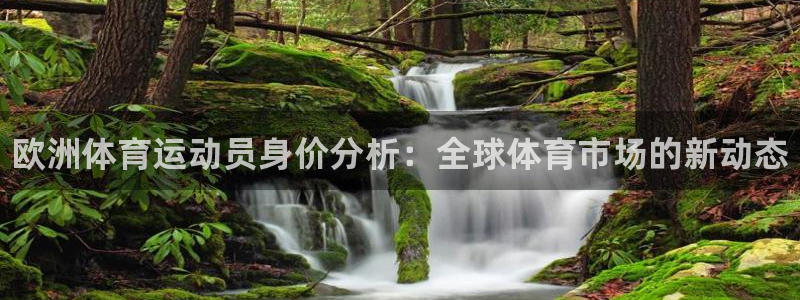 中欧体育官网