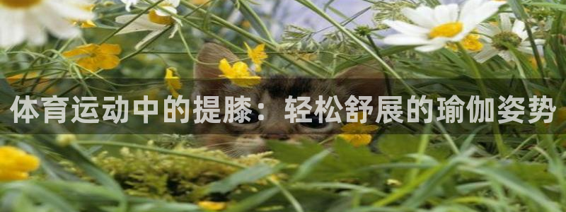 中欧体育