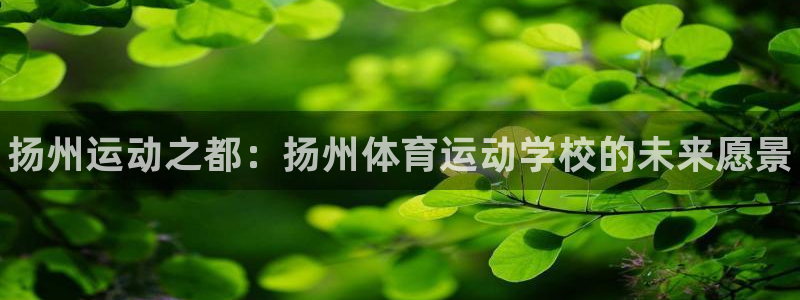中欧体育最新地址