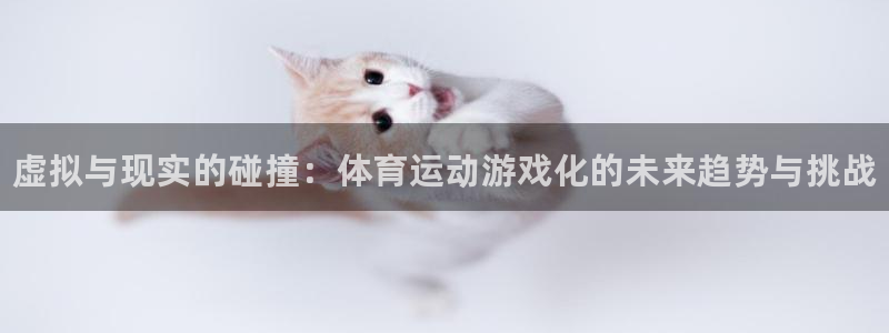 中欧体育网页登录