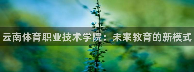 中欧体育官网
