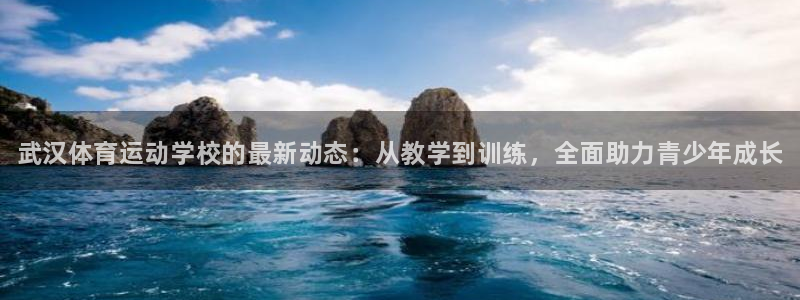 中欧体育官网