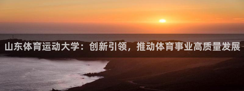 中欧体育网页版