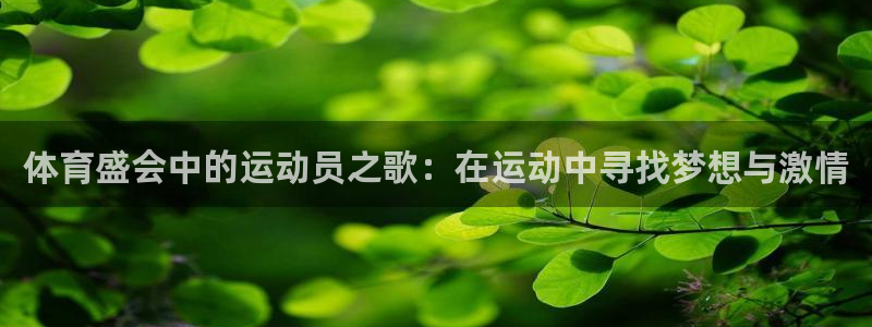 kok新版中欧体育
