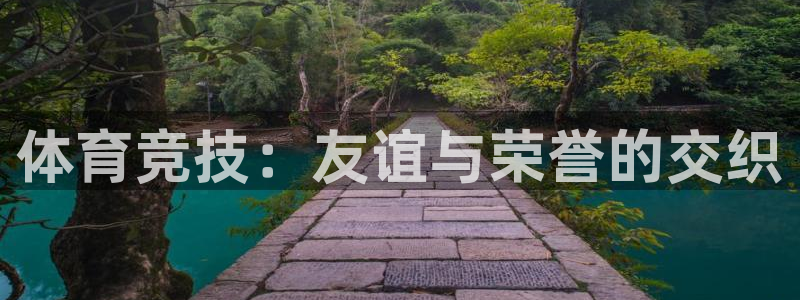 中欧体育网页版