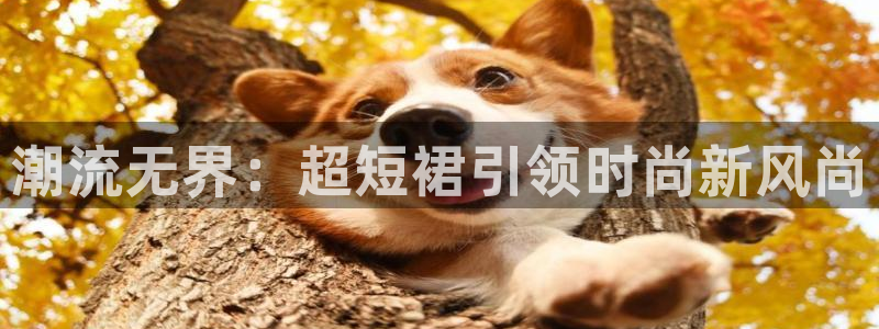 中欧体育集团