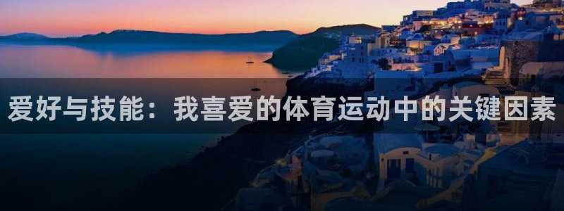 中欧体育ac米兰