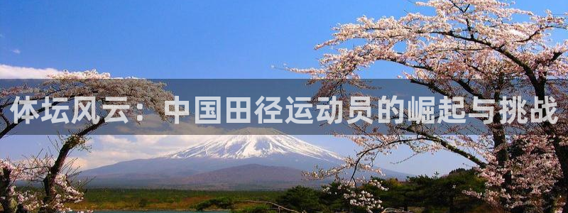zoty中欧体育