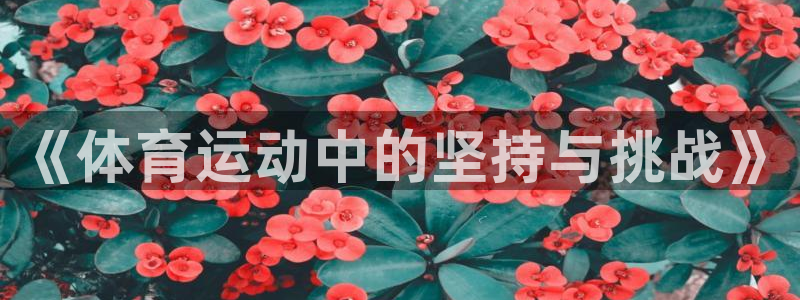 中欧体育集团
